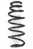 SPIDAN 85545 Coil Spring